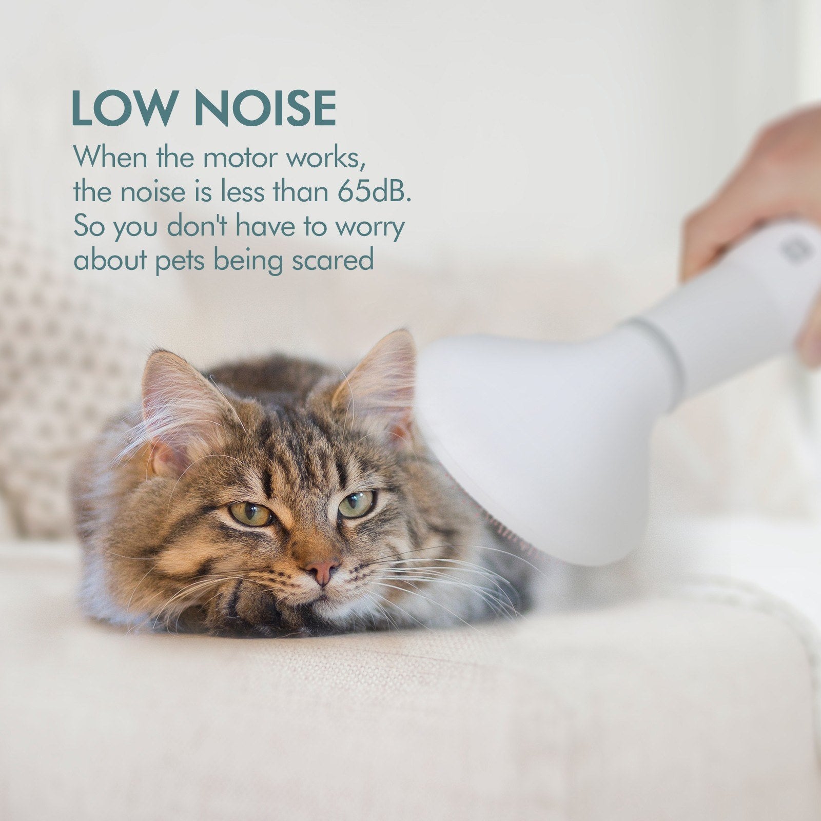 Pet Hair Dryer & Slicker Brush - 2-in-1 Dog Grooming Dryer